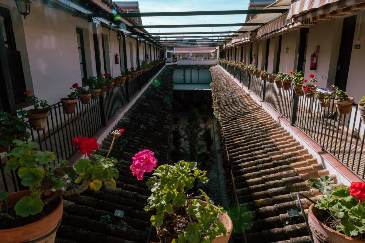 Apartamento Con Encanto En Patio Sevillano エクステリア 写真